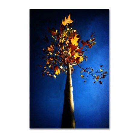 Philippe Sainte-Laudy 'Blue Autumn' Canvas Art,16x24